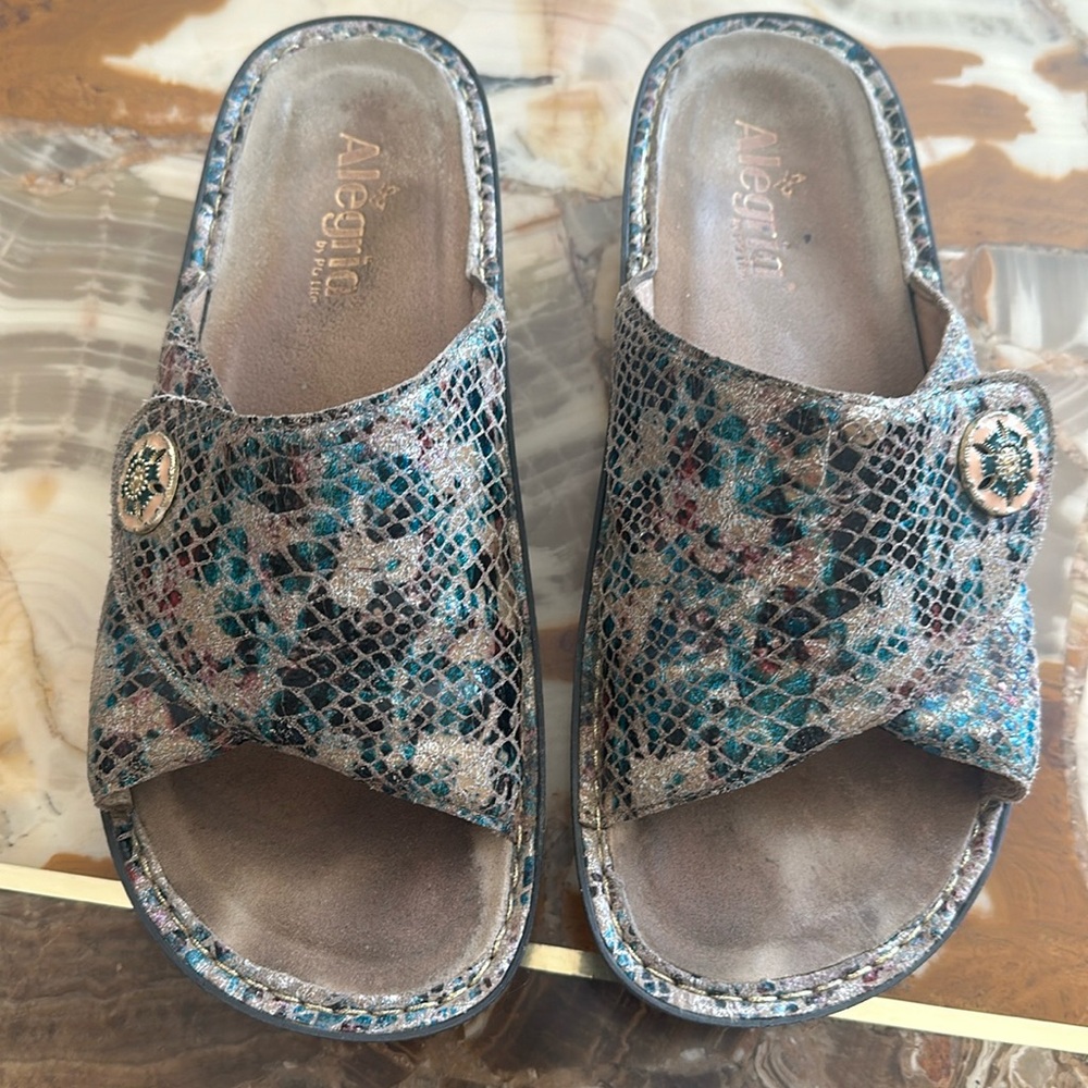 Alegria slides.